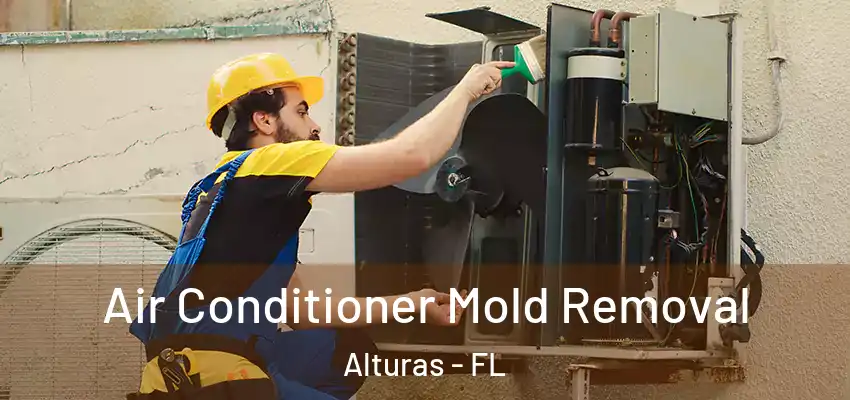  Air Conditioner Mold Removal Alturas - FL