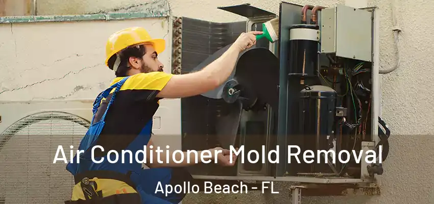  Air Conditioner Mold Removal Apollo Beach - FL