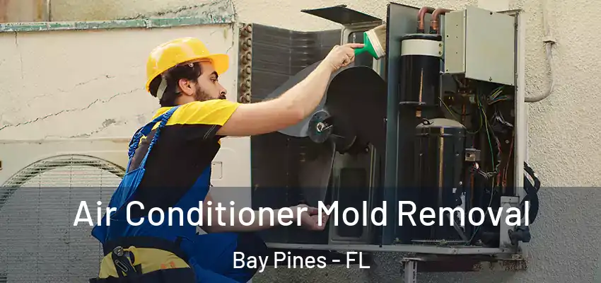  Air Conditioner Mold Removal Bay Pines - FL