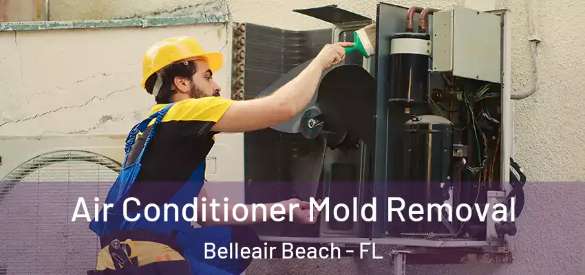Air Conditioner Mold Removal Belleair Beach - FL