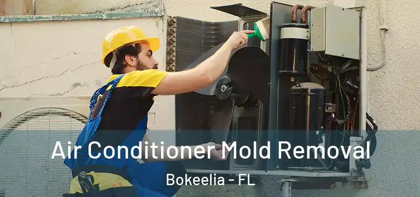 Air Conditioner Mold Removal Bokeelia - FL