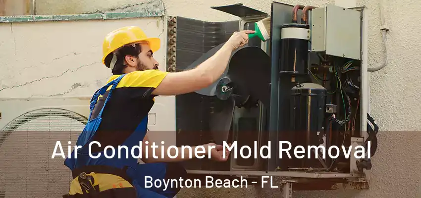  Air Conditioner Mold Removal Boynton Beach - FL