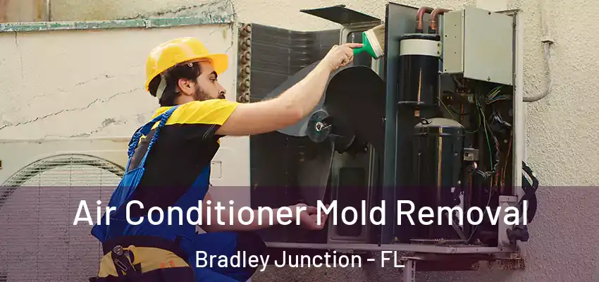 Air Conditioner Mold Removal Bradley Junction - FL