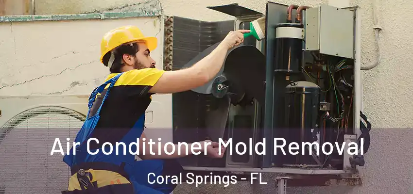 Air Conditioner Mold Removal Coral Springs - FL