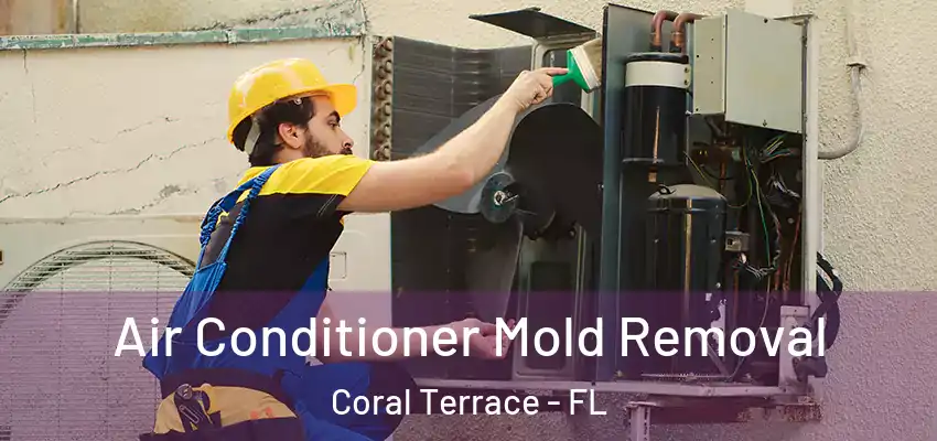  Air Conditioner Mold Removal Coral Terrace - FL