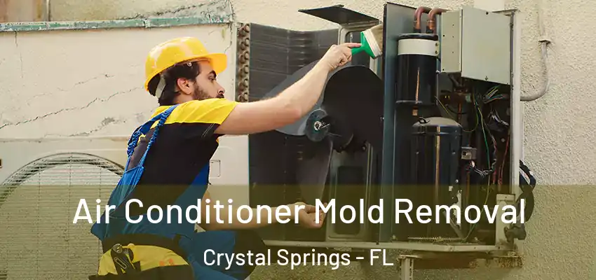  Air Conditioner Mold Removal Crystal Springs - FL