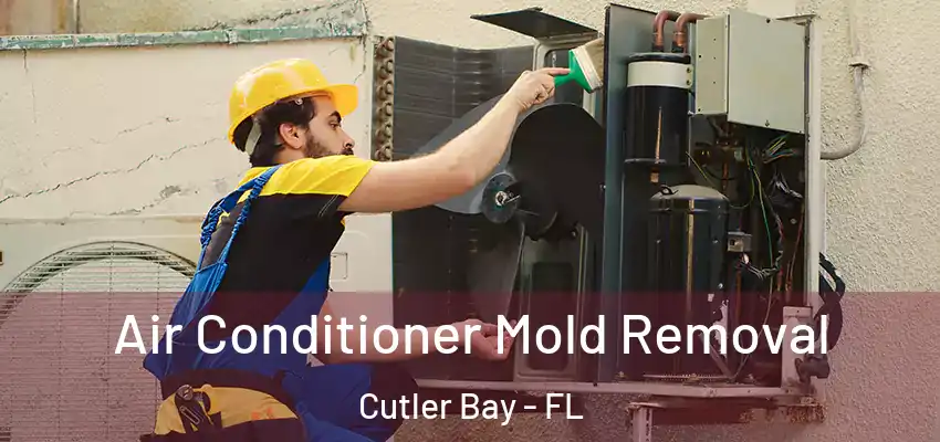  Air Conditioner Mold Removal Cutler Bay - FL