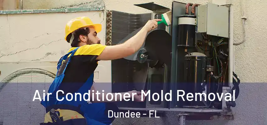 Air Conditioner Mold Removal Dundee - FL