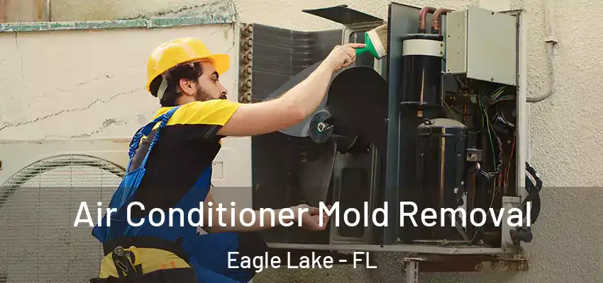 Air Conditioner Mold Removal Eagle Lake - FL