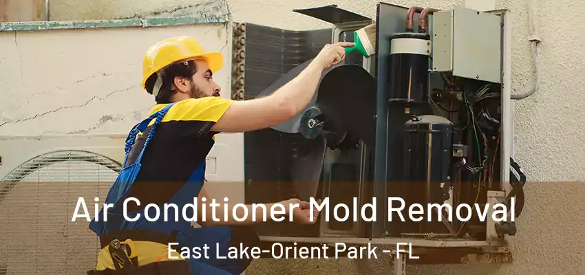 Air Conditioner Mold Removal East Lake-Orient Park - FL