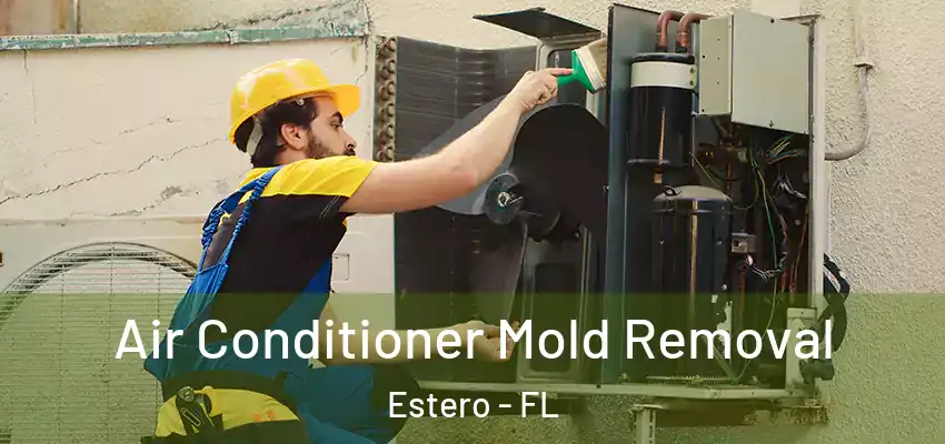  Air Conditioner Mold Removal Estero - FL