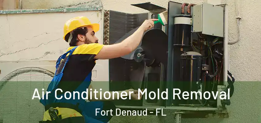 Air Conditioner Mold Removal Fort Denaud - FL