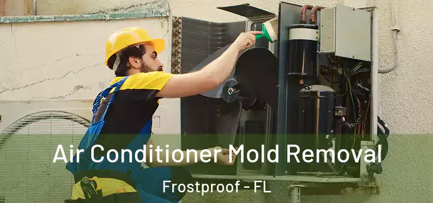 Air Conditioner Mold Removal Frostproof - FL
