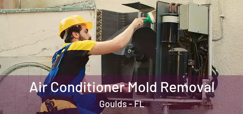 Air Conditioner Mold Removal Goulds - FL