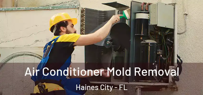 Air Conditioner Mold Removal Haines City - FL
