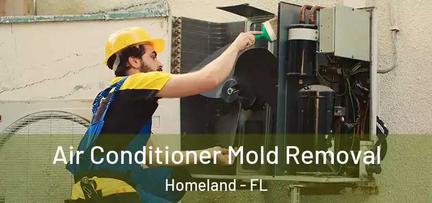 Air Conditioner Mold Removal Homeland - FL