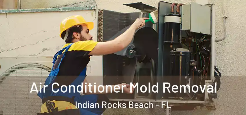Air Conditioner Mold Removal Indian Rocks Beach - FL