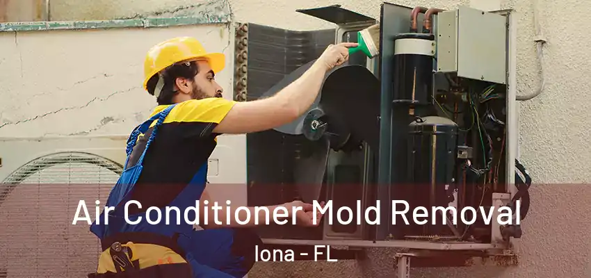  Air Conditioner Mold Removal Iona - FL