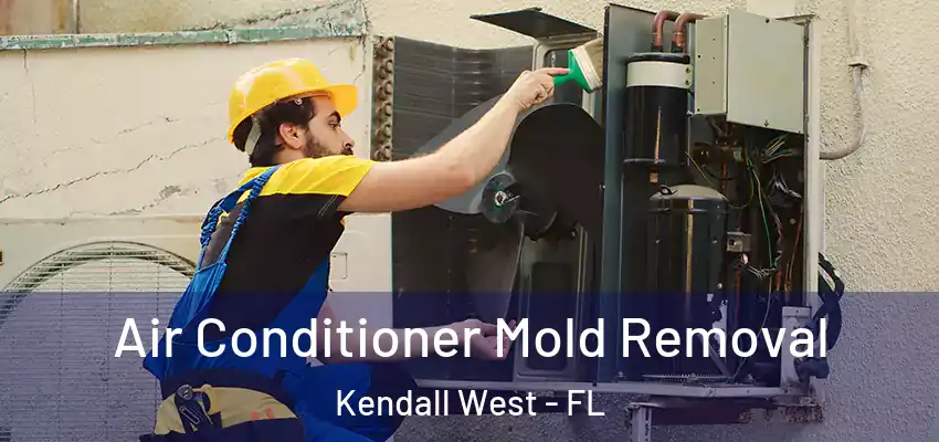 Air Conditioner Mold Removal Kendall West - FL