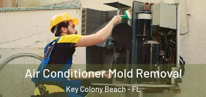 Air Conditioner Mold Removal Key Colony Beach - FL