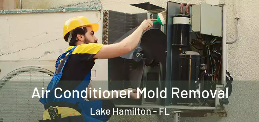 Air Conditioner Mold Removal Lake Hamilton - FL