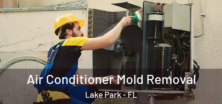  Air Conditioner Mold Removal Lake Park - FL