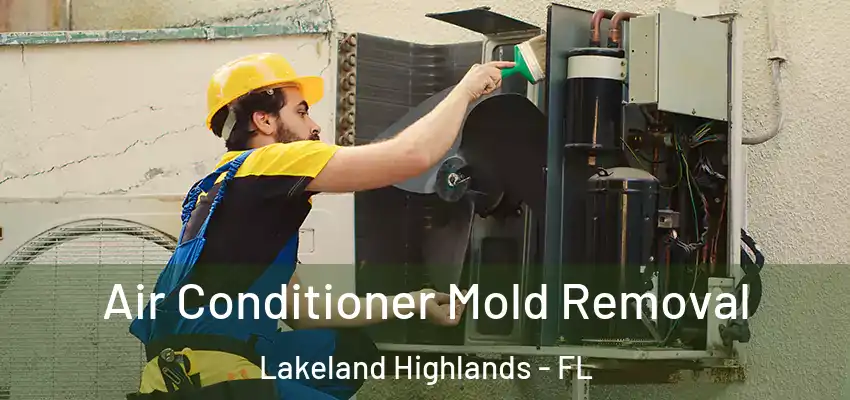 Air Conditioner Mold Removal Lakeland Highlands - FL