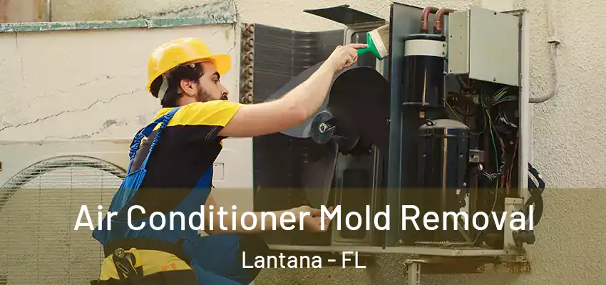  Air Conditioner Mold Removal Lantana - FL