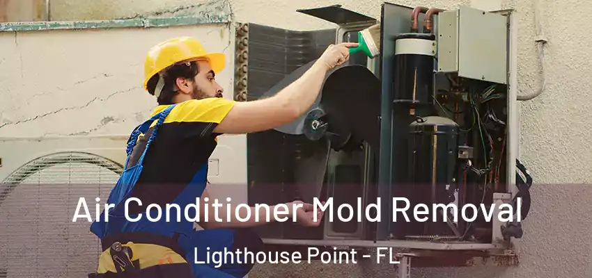 Air Conditioner Mold Removal Lighthouse Point - FL