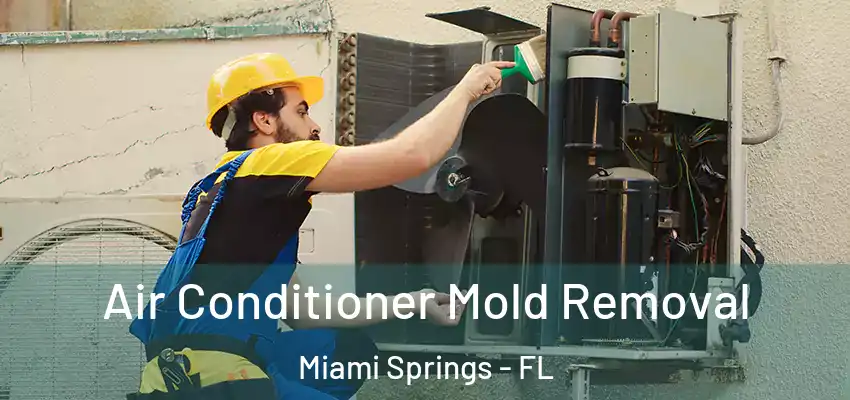 Air Conditioner Mold Removal Miami Springs - FL
