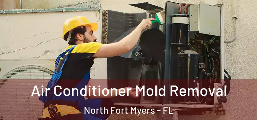 Air Conditioner Mold Removal North Fort Myers - FL