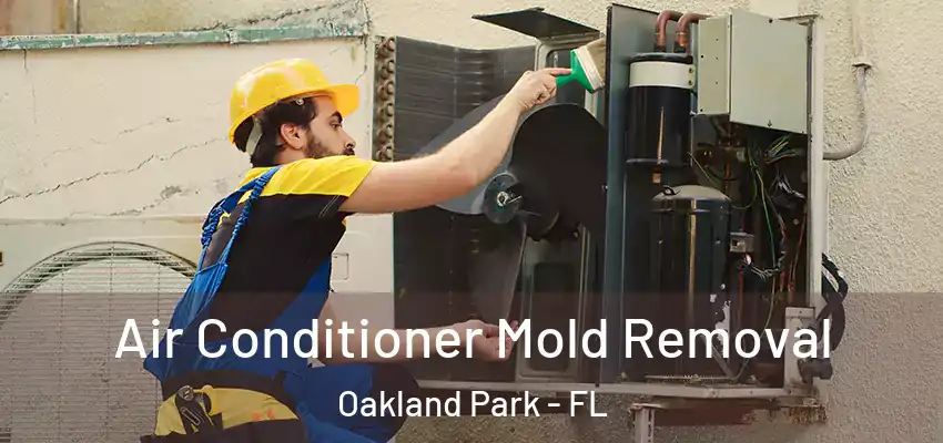 Air Conditioner Mold Removal Oakland Park - FL