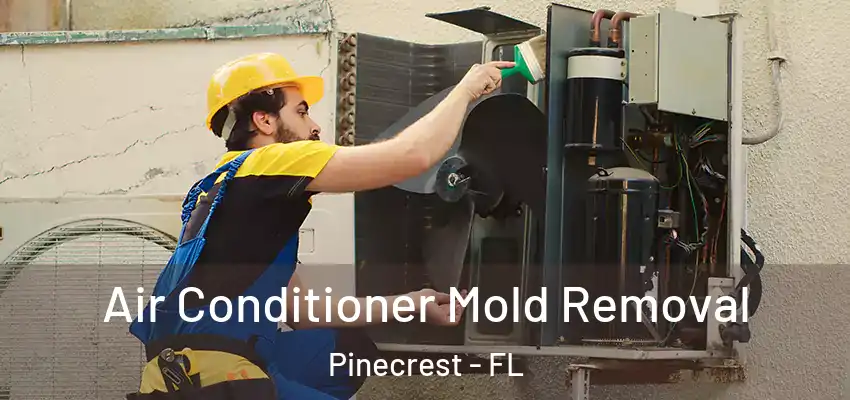  Air Conditioner Mold Removal Pinecrest - FL