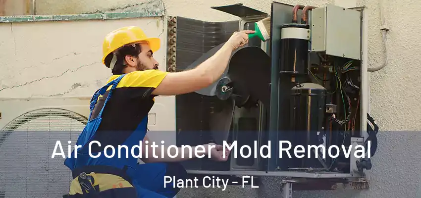 Air Conditioner Mold Removal Plant City - FL