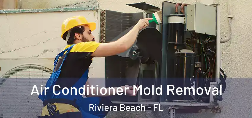  Air Conditioner Mold Removal Riviera Beach - FL