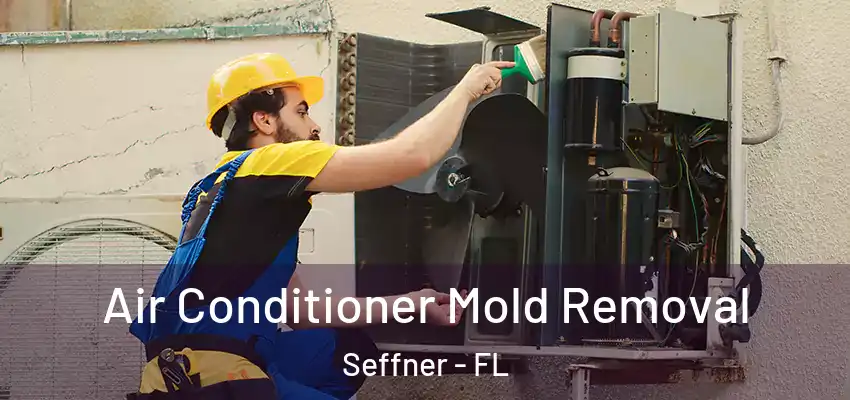 Air Conditioner Mold Removal Seffner - FL