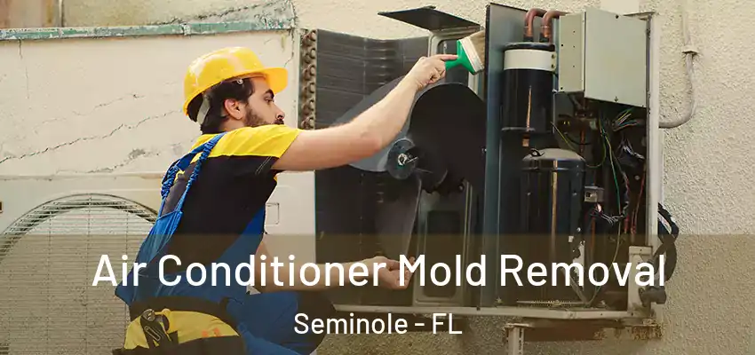 Air Conditioner Mold Removal Seminole - FL