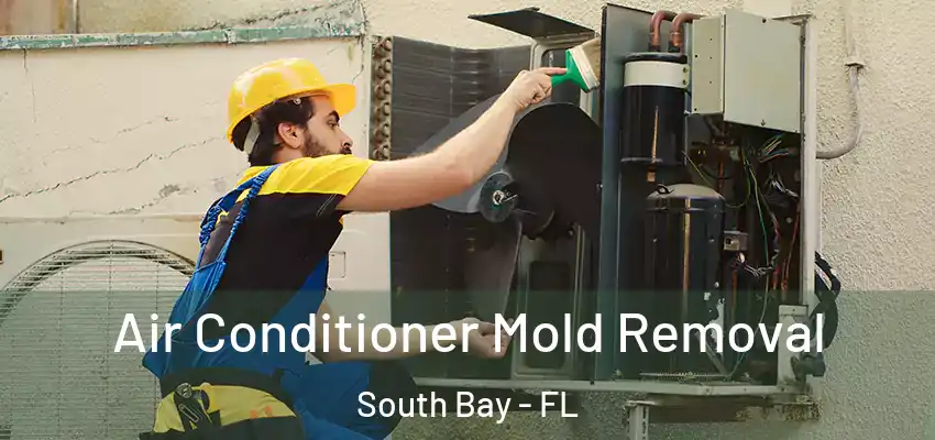 Air Conditioner Mold Removal South Bay - FL