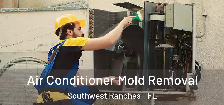 Air Conditioner Mold Removal Southwest Ranches - FL