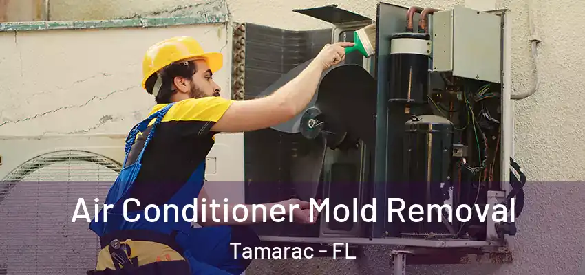  Air Conditioner Mold Removal Tamarac - FL