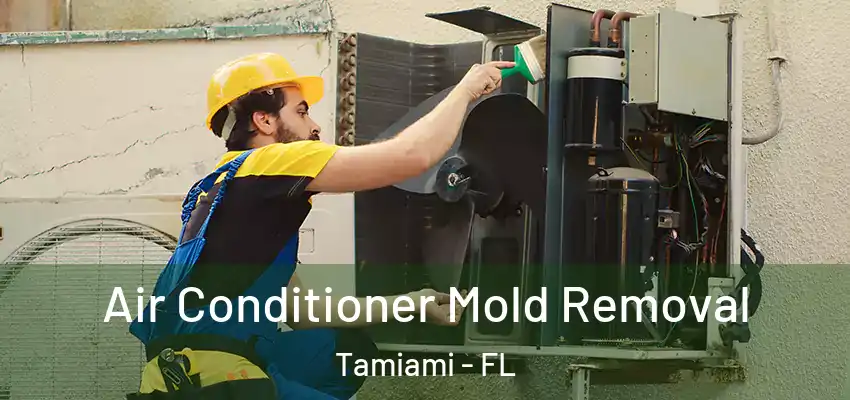 Air Conditioner Mold Removal Tamiami - FL