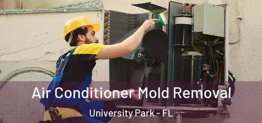  Air Conditioner Mold Removal University Park - FL