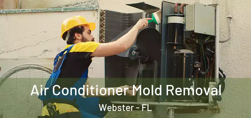 Air Conditioner Mold Removal Webster - FL