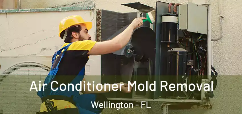  Air Conditioner Mold Removal Wellington - FL