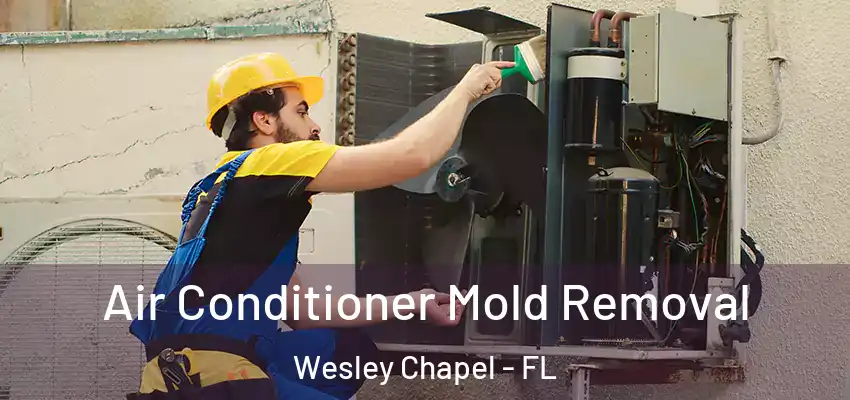 Air Conditioner Mold Removal Wesley Chapel - FL