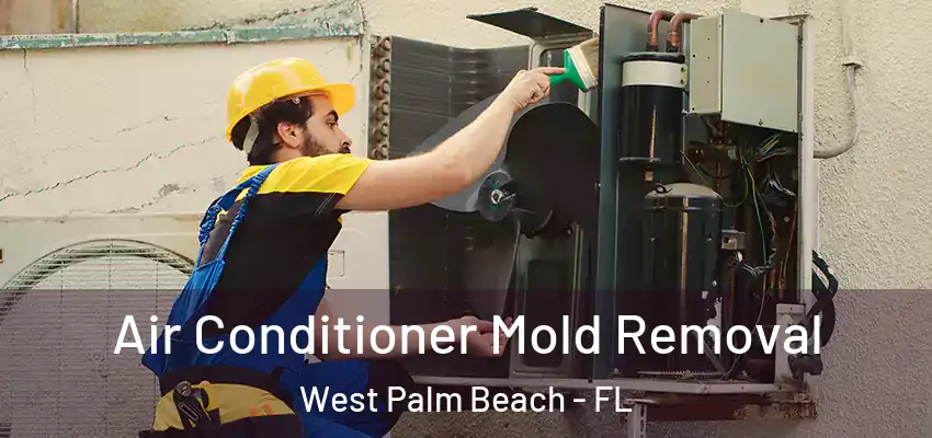 Air Conditioner Mold Removal West Palm Beach - FL
