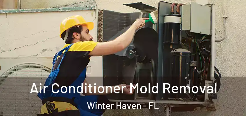  Air Conditioner Mold Removal Winter Haven - FL
