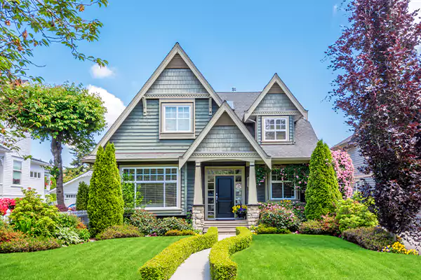 Black Mold Clean Up in Boca Raton, FL