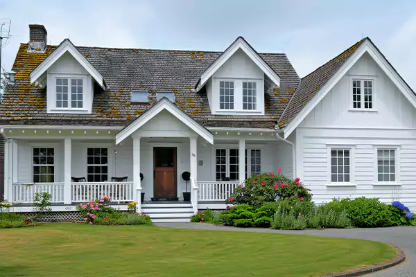 Mold Removal Services in Boca Raton, FL