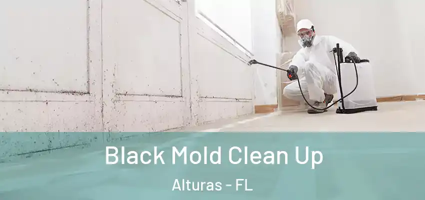  Black Mold Clean Up Alturas - FL